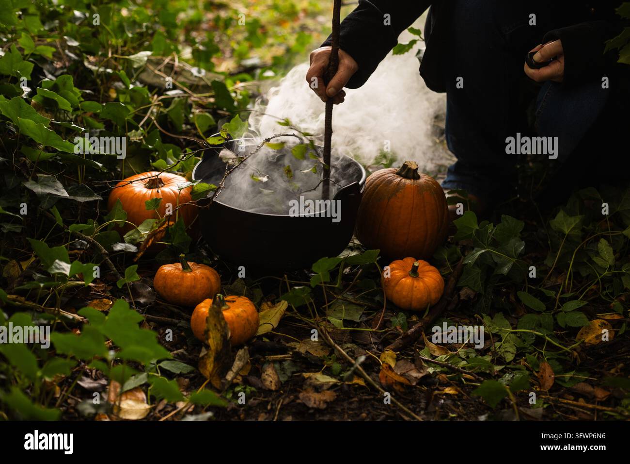 Strega che mescola una pentola nel bosco con zucche di Halloween Foto Stock