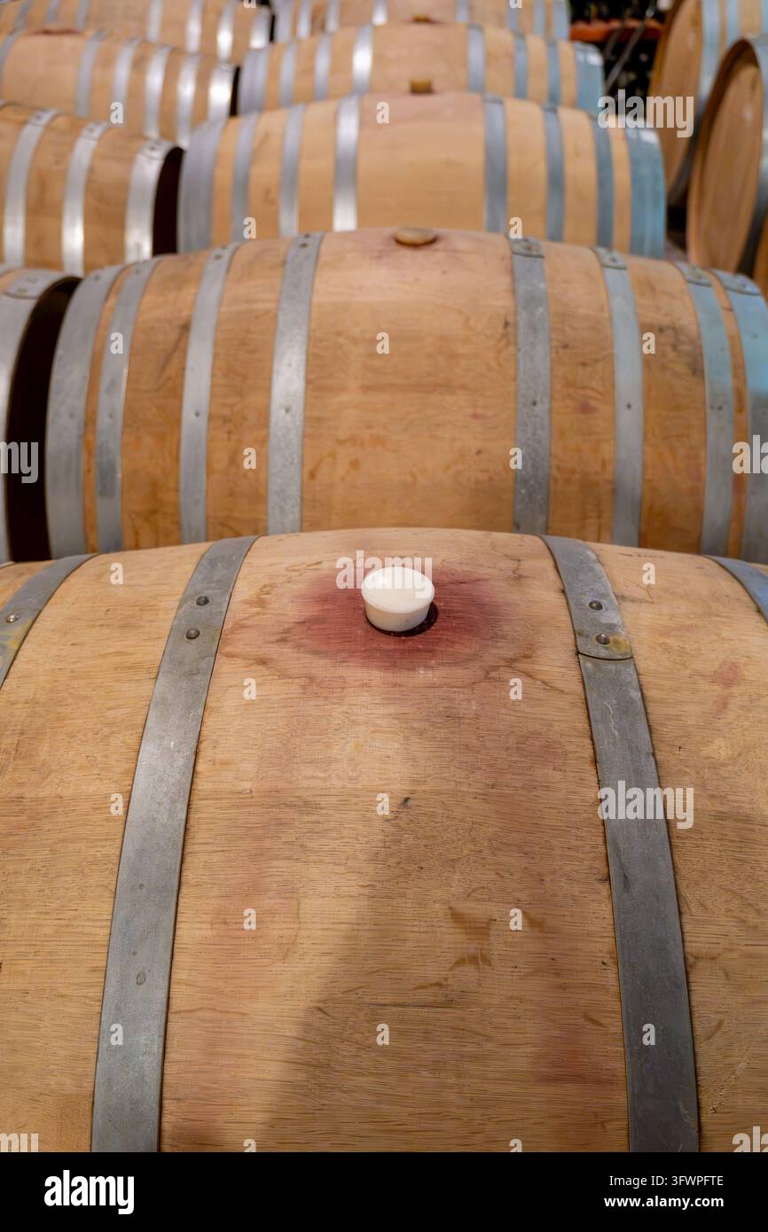 Barili di vino che conservano liquido di uva in fermentazione in una cantina tradizionale, un processo che crea ricchi sapori per le bevande Foto Stock
