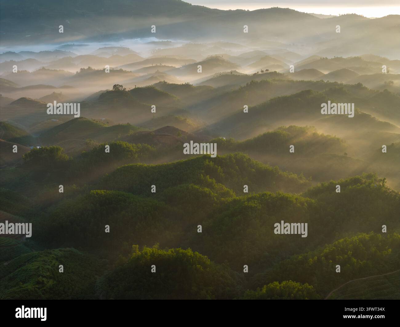Vista aerea di colline ondulate a Da Lat coperte dalla nebbia mattutina e illuminate dalla luce dorata dell'alba a Xuan Huong - Da Lat, Lam Dong, Vietnam. Foto Stock