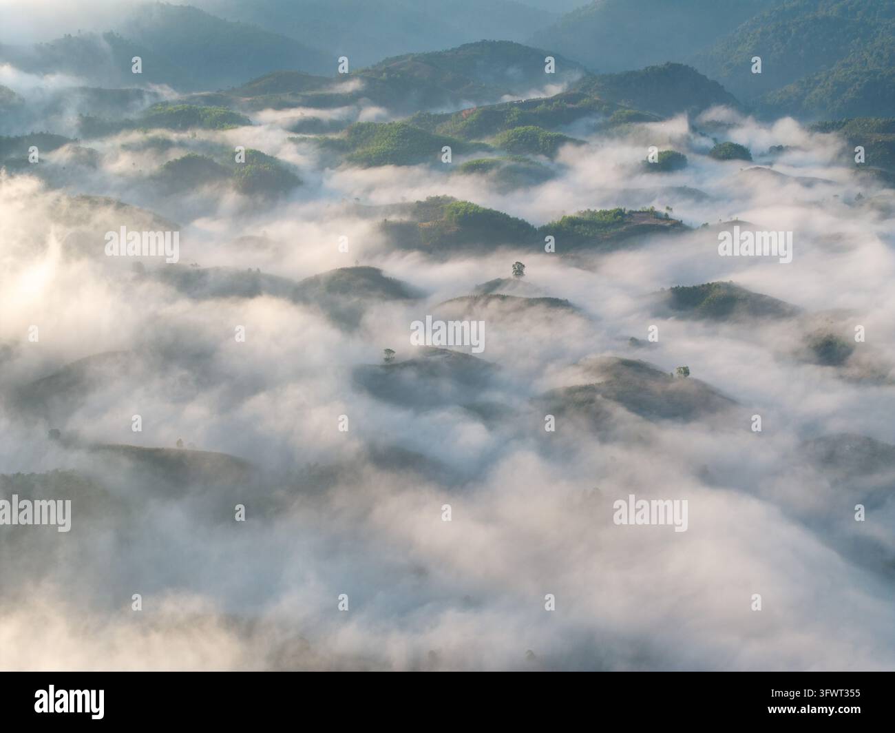 Vista aerea di colline ondulate coperte da una fitta nebbia mattutina con alberi sparsi che emergono dalle nuvole a Da Lat, Lam Dong, Vietnam Foto Stock