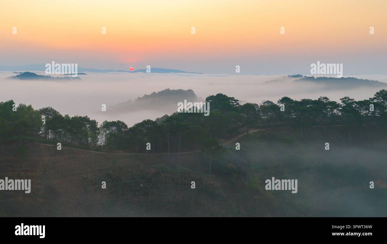 Vista aerea di un'alba su un paesaggio nebbioso con pini che coprono colline ondulate, Da Lat, Lam Dong, Vietnam. Foto Stock