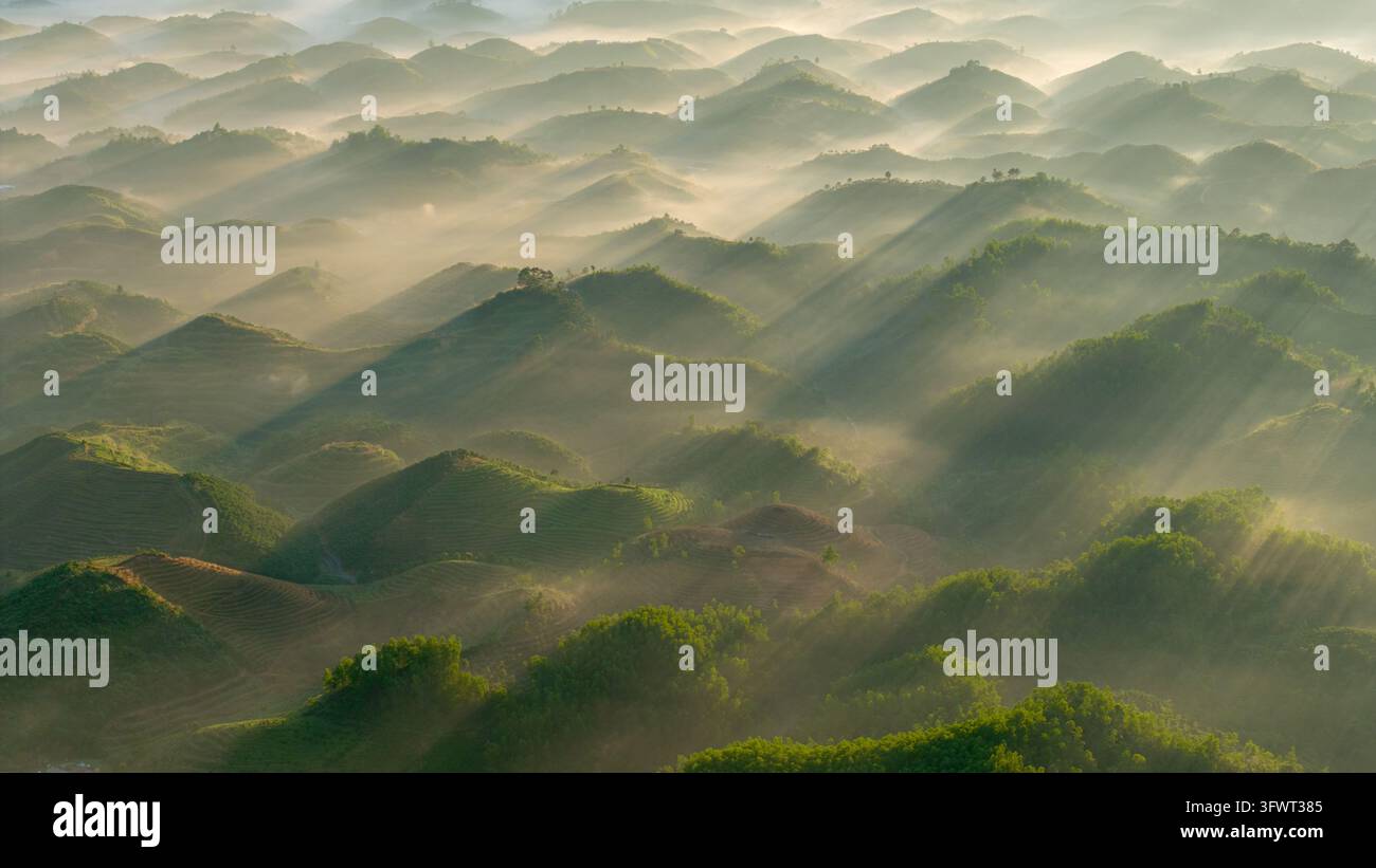 Vista aerea di colline ondulate coperte dalla nebbia mattutina con raggi di sole che trafiggono la foschia, Da Lat, Lam Dong, Vietnam. Foto Stock