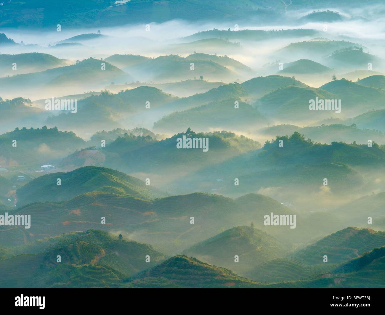 Veduta aerea di colline ondulate coperte dalla nebbia mattutina e dalla luce soffusa del sole a Da Lat, Lam Dong, Vietnam. Foto Stock