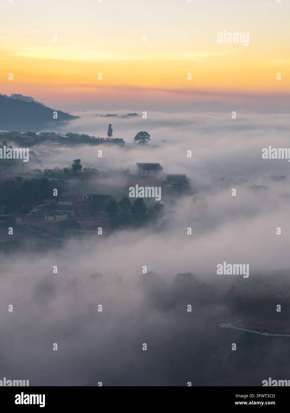 Vista aerea di case incastonate tra una fitta nebbia mattutina e pini durante l'alba a Da Lat, Lam Dong, Vietnam. Foto Stock