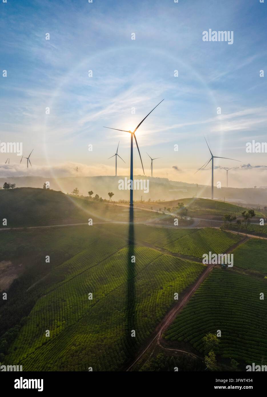 Vista aerea di turbine eoliche su dolci colline verdi all'alba con un alone solare e nebbia a Da Lat, Lam Dong, Vietnam. Foto Stock