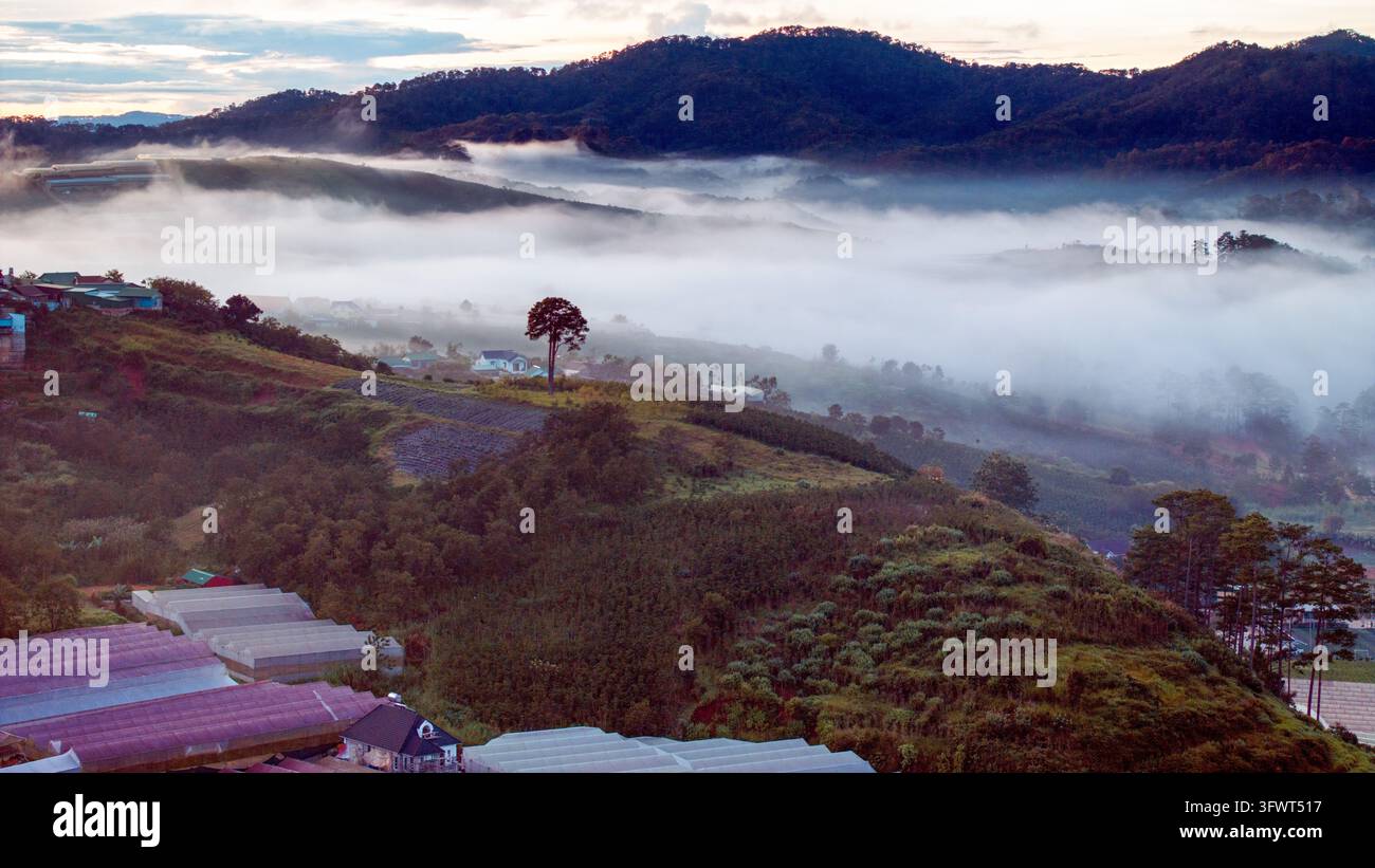 Vista aerea di colline e valli nebbiose a Da Lat, con serre agricole, pini sparsi e un terreno montuoso ondulato a Da Lat, La Foto Stock