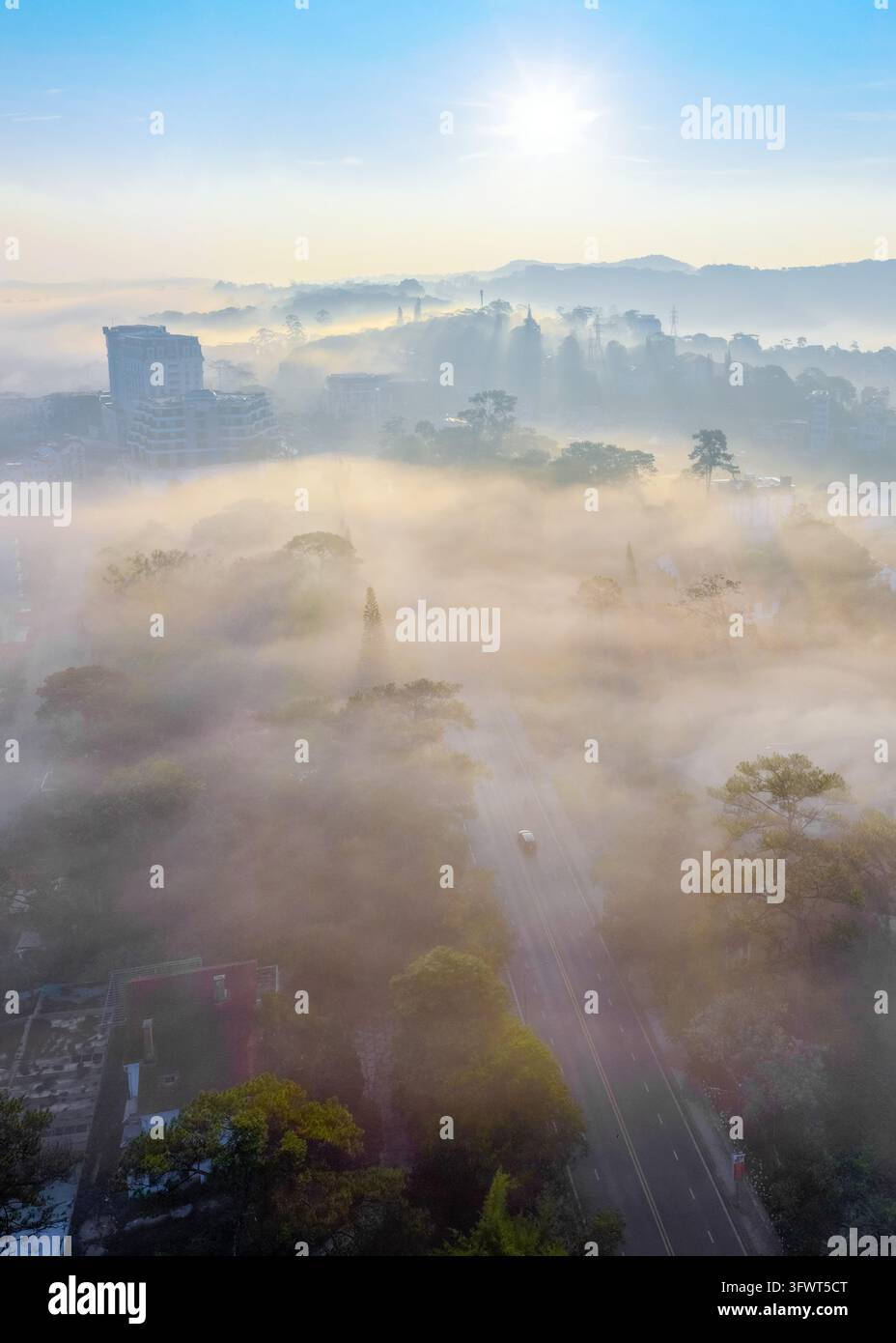 Vista aerea di una strada che si snoda attraverso una fitta nebbia mattutina e alberi rigogliosi con raggi di sole che brillano su Da Lat, Lam Dong, Vietnam. Foto Stock