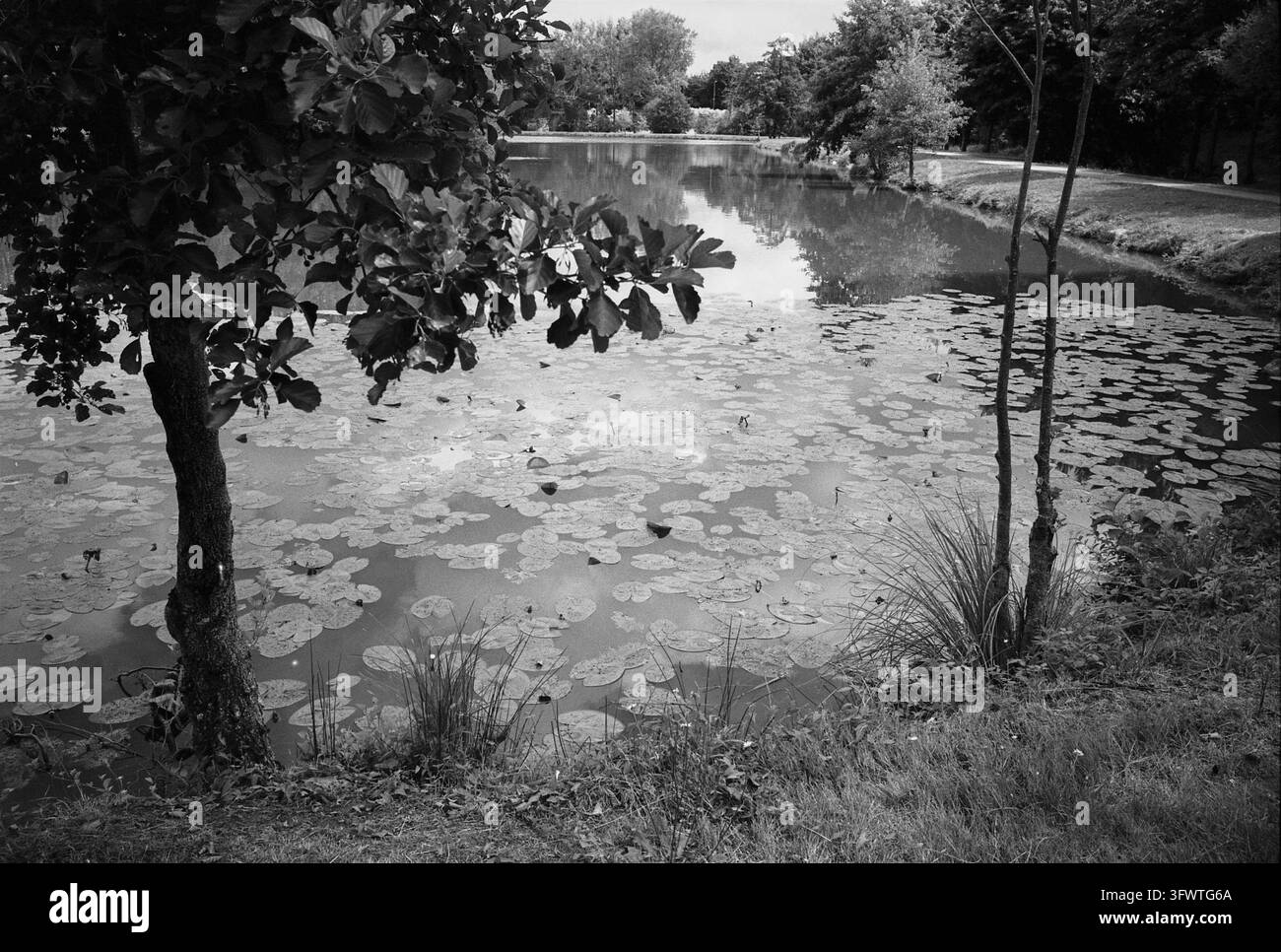 Lago Ernee, Francia. Fotografia analogica, 2026. Foto Stock