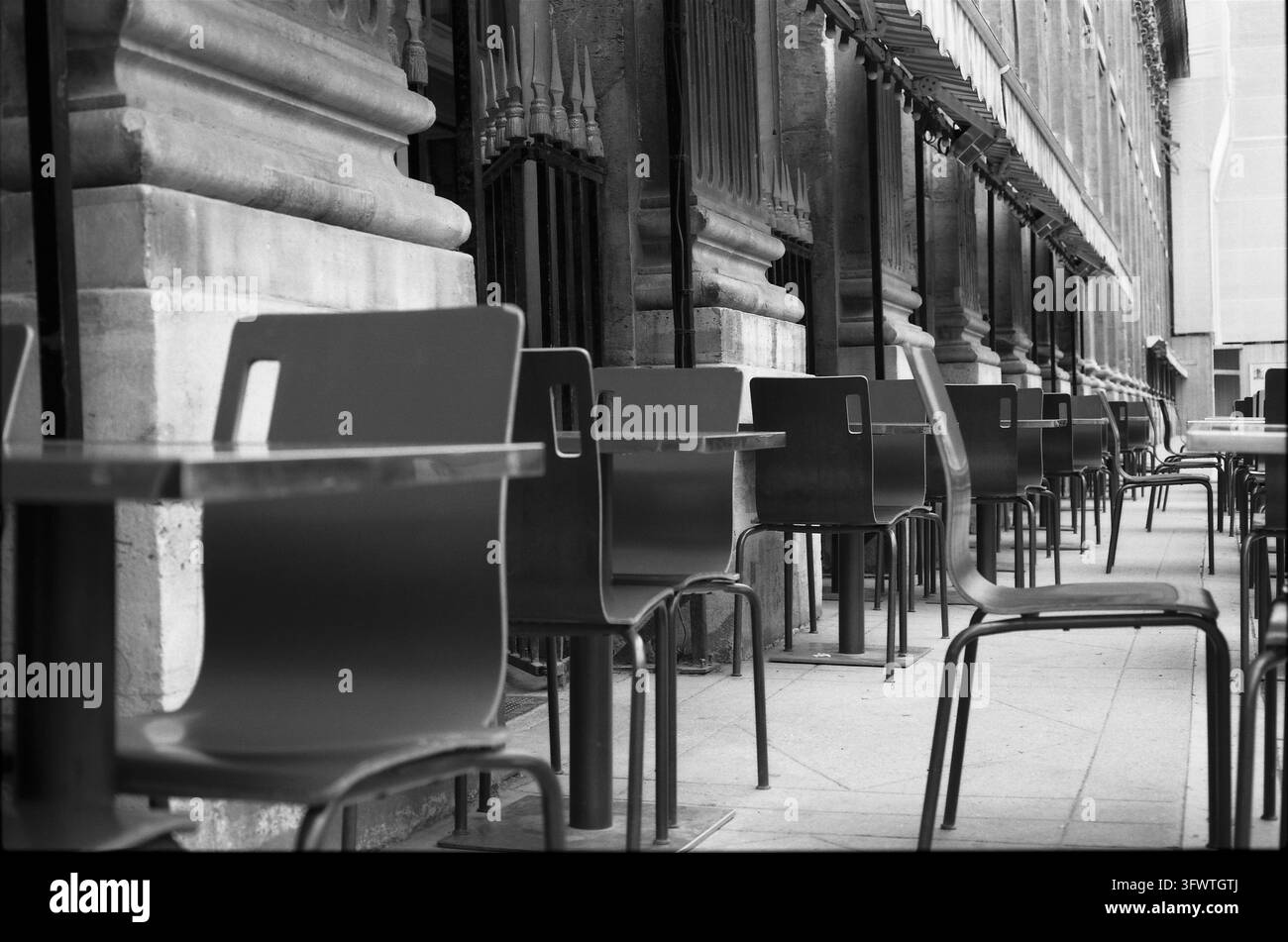 Sedie, I Giardini del Palazzo Reale, Parigi, Francia. Fotografia analogica, 2014. Foto Stock