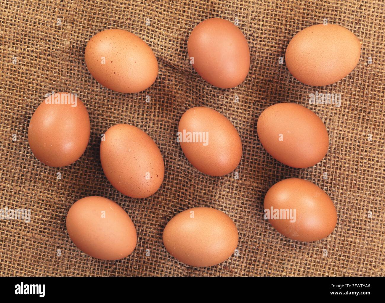 Dieci uova di colore beige su tessuto di iuta, forma di vista closeup sopra Foto Stock