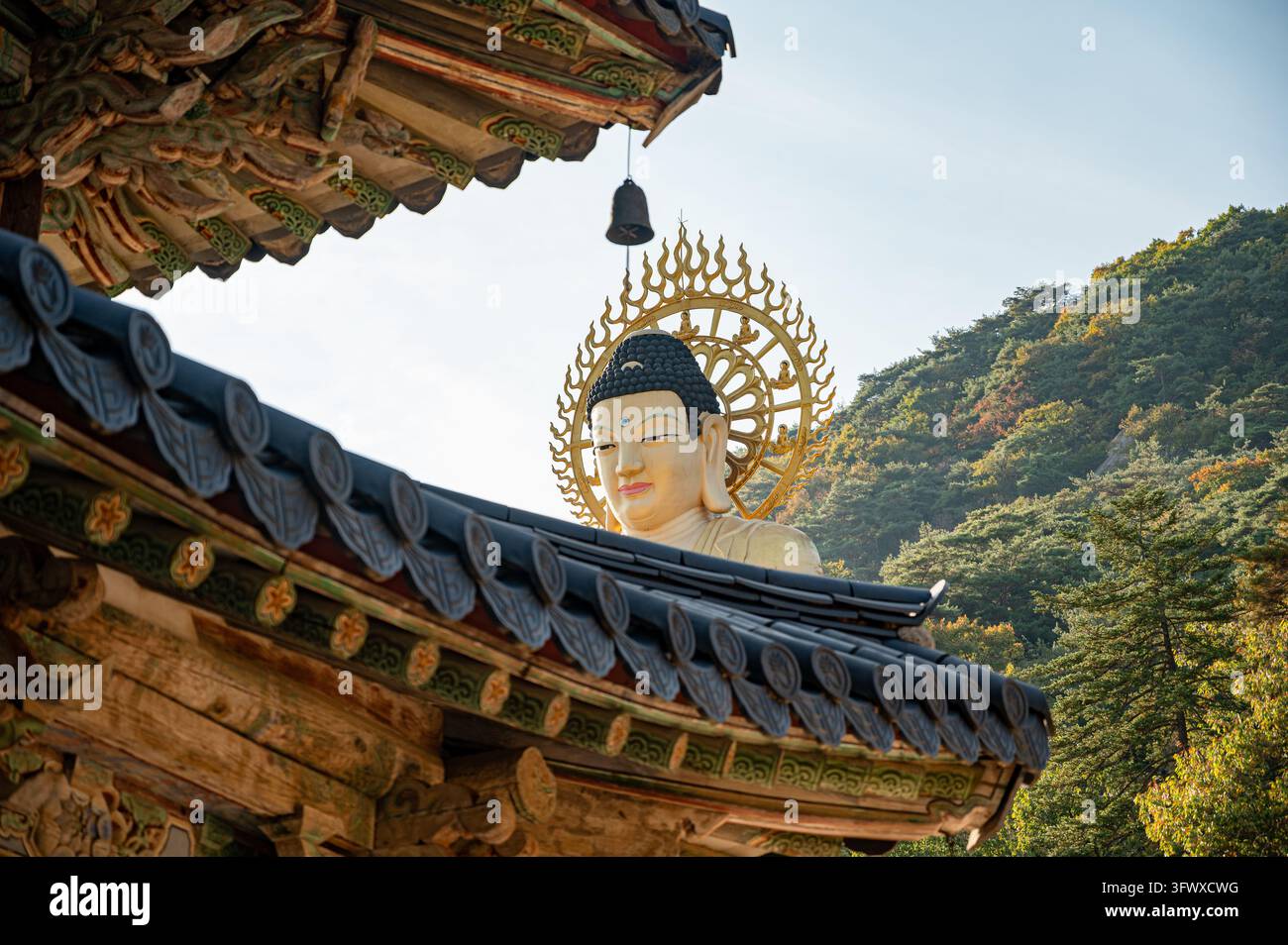 Testa di una statua di buddha dorata con aureola ornata dietro un tetto di tegole hanok in Corea. Foto Stock