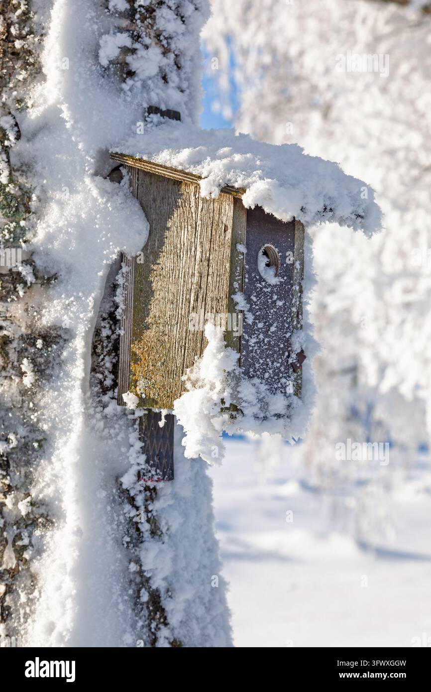 Cassetta nido in legno su un tronco d'albero in una giornata invernale nevosa Foto Stock