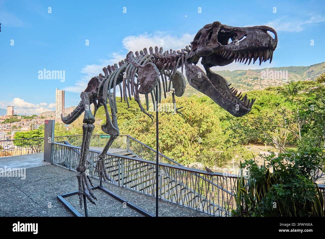 Modelli di dinosauri a grandezza naturale e uno scheletro di Tyrannosaurus rex in un parco all'aperto. Foto Stock