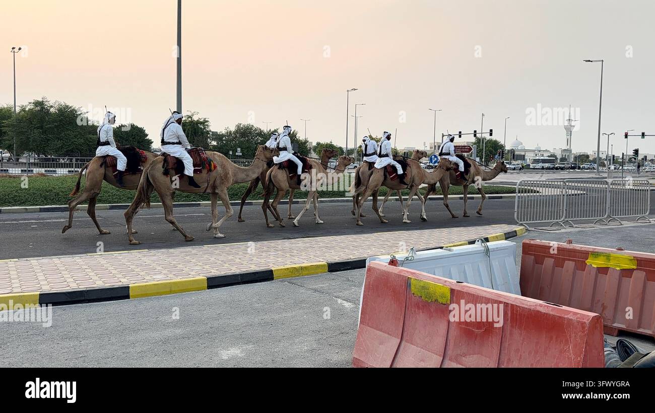 Wakrah, Qatar – Uomini in abiti tradizionali bianchi che cavalcano cammelli al tramonto vicino a Souq Al Wakra, Qatar. Foto Stock