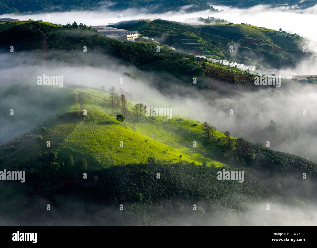 Vista aerea di colline verdi lussureggianti coperte dalla nebbia mattutina con serre agricole sullo sfondo, Da Lat, Lam Dong, Vietnam. Foto Stock
