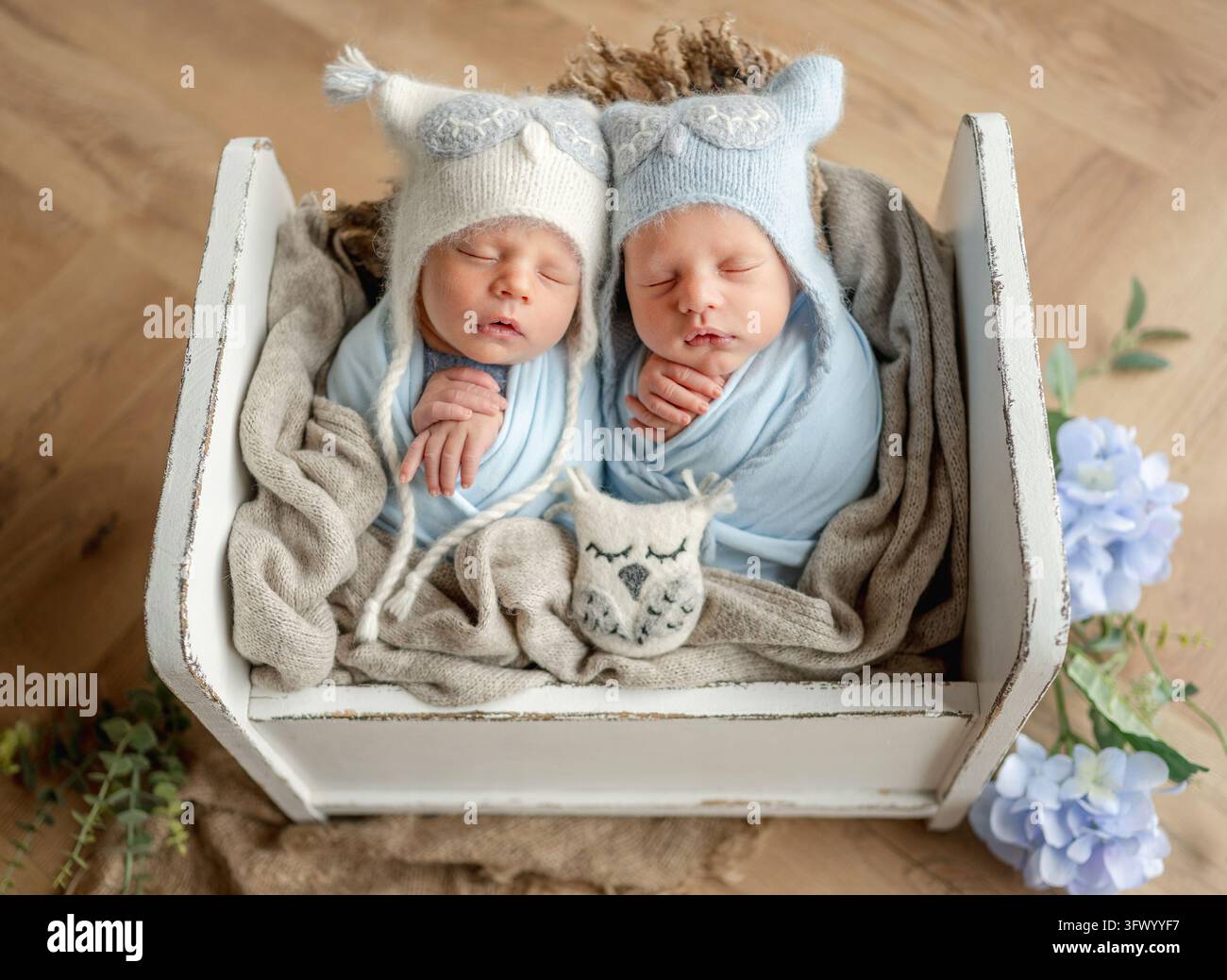 Gemelli con cappelli da gufo dormono pacificamente in un piccolo letto di legno durante una sessione diurna. . Sessione fotografica per neonati Foto Stock