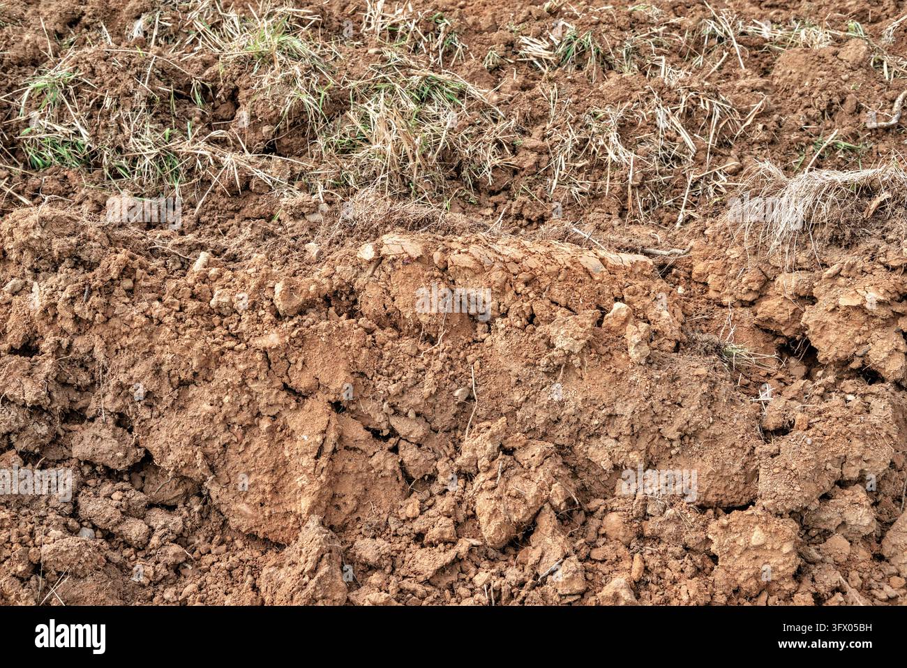 Terra appena rivoltata su terreni agricoli - Bossay-sur-Claise, Indre-et-Loire (37), Francia. Foto Stock