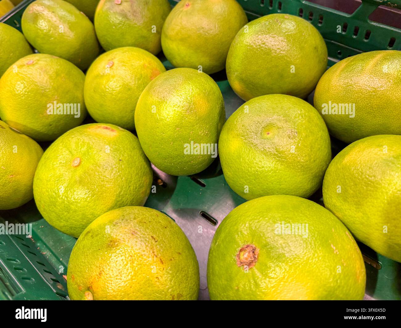 Grapefruit verdi freschi o Sweeties esposti in una cassa del negozio Foto Stock