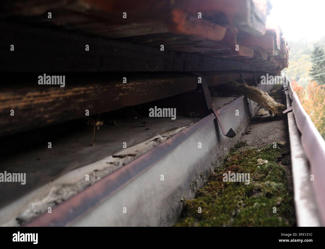 Grondaie danneggiate e canale dell'acqua esterno bloccato Foto Stock