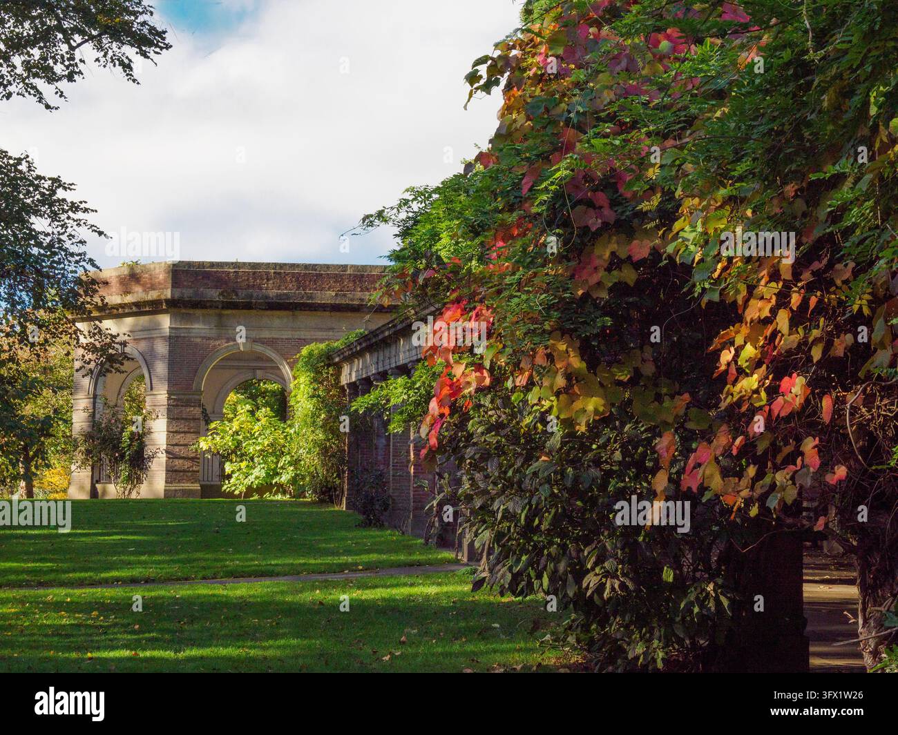 Piante rampicanti di gloria cremisi ricoprono il colonnato del Sun Pavilion nei Valley Gardens di Harrogate, in autunno. Foto Stock