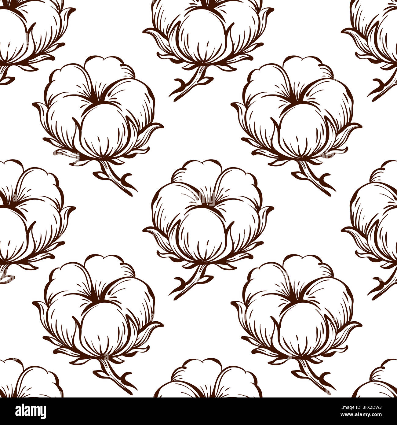 Modello senza cuciture di capsule di cotone, grandi fiori arrotondati con spaziatura aperta, foglie delicate, vettore botanico disegnato a mano con teste floreali ripetute e trifoglio Illustrazione Vettoriale
