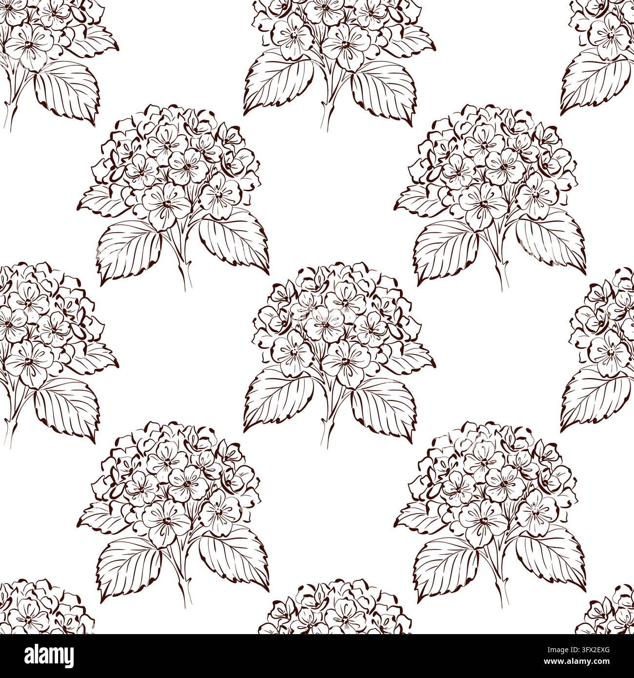 Disegno botanico floreale a linea di fiore di ortensia contorno vettore bianco marrone illustrazione di modello senza cuciture con teste di fiori arrotondate ripetute con g Illustrazione Vettoriale
