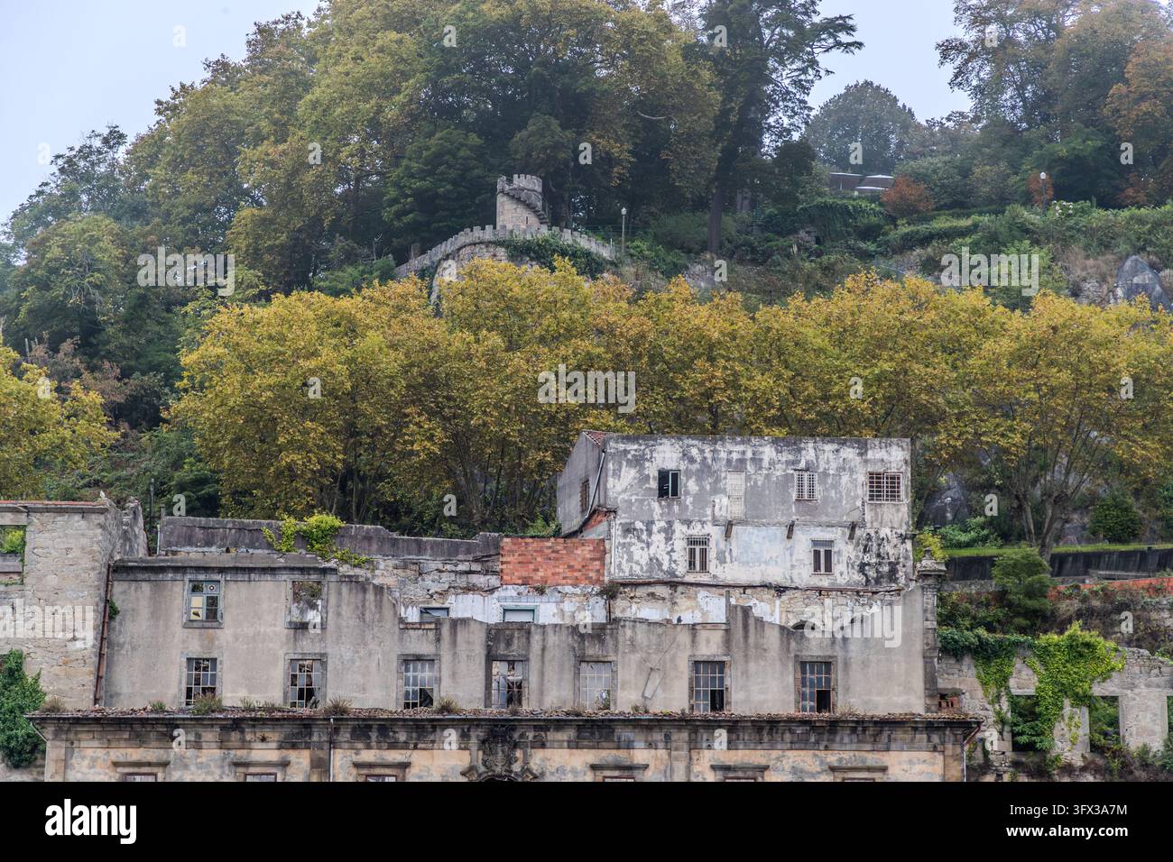 Una rovina con aperture di finestre vuote e una macchia di mattoni rossi si erge sul pendio boscoso sopra il Douro vicino a Porto, Portogallo. In alto nel bosco, una torre merlata si innalza su un muro. In fondo al quadro, una cornice porta uno stemma. Il fogliame autunnale giallo copre il pendio. Foto Stock