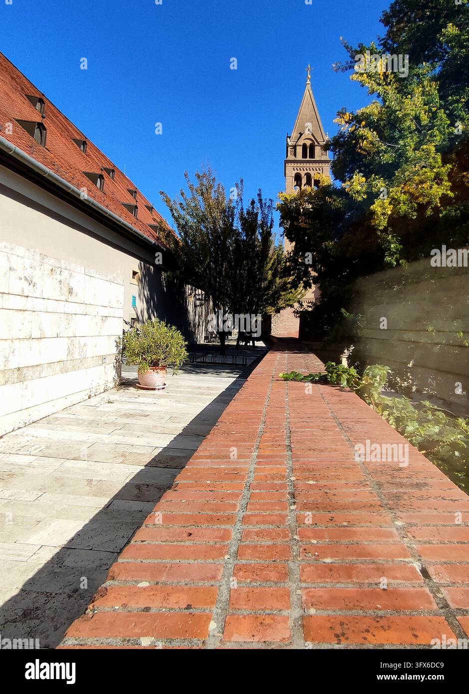Viale di mattoni e torre della cattedrale nella storica Pécs, Ungheria - Immagine stock catturata con smartphone