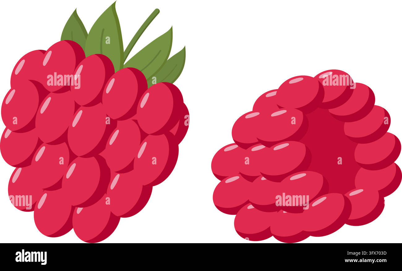 Duetto di lamponi stilizzato con frutto intero e struttura di drupa cavitaria, toni rossi lucidi e foglie verdi, perfetto per grafica alimentare, packaging Illustrazione Vettoriale