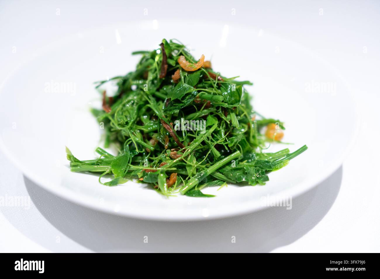 Piatti di germogli di piselli saltati in padella allo stile cinese con gamberetti essiccati, serviti su un piatto di ceramica bianca, foglie verde brillante luccicanti di olio e condimento, presentazione minimalista su uno sfondo bianco pulito, tipici della moderna cucina cantonese o regionale Jiangnan Foto Stock
