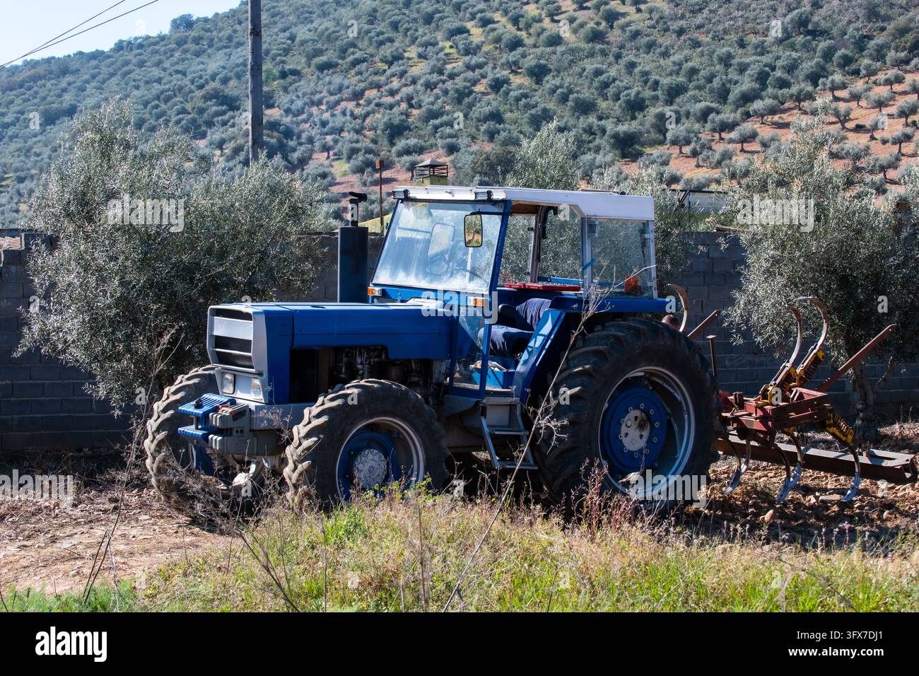 Trattore agricolo che trascina un erpice attraverso un uliveto Foto Stock