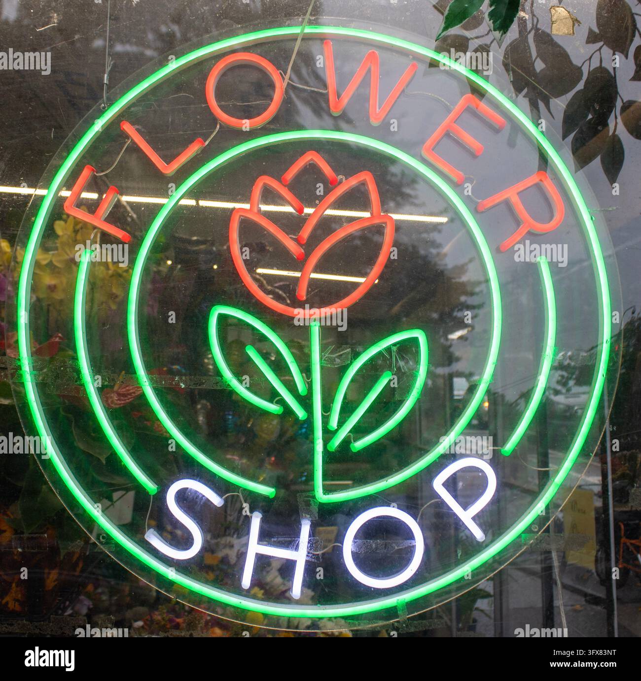 Brooklyn, New York, USA – 6 ottobre 2023: Insegna al neon luminosa "Flower Shop" con una rosa rossa e foglie verdi in una vetrina a Brooklyn. Foto Stock