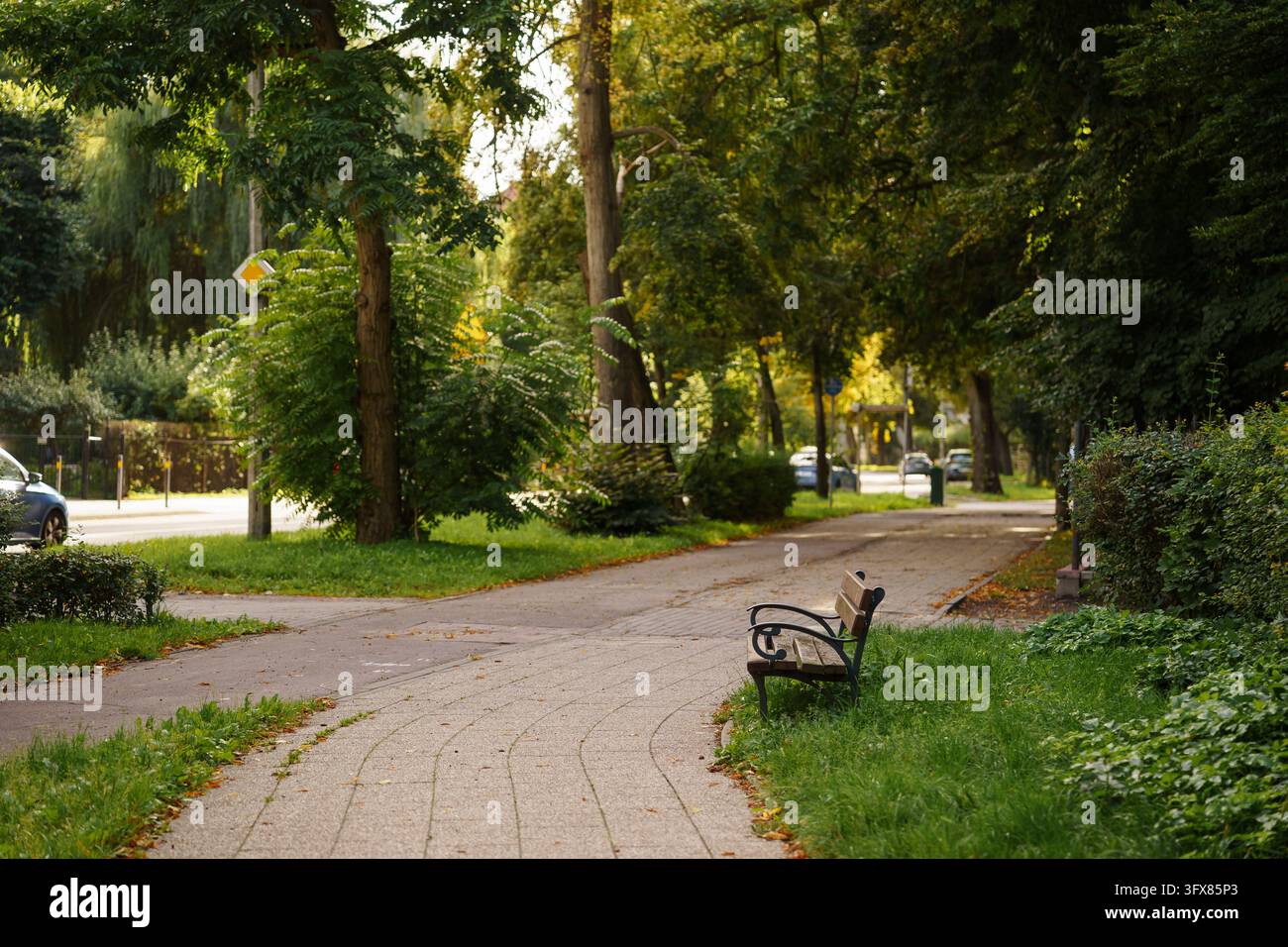 Panchina di legno vuota in un tranquillo parco cittadino circondato da alberi verdi e fogliame su un marciapiede lastricato durante una pacifica mattina d'autunno, relax urbano, scenario naturale Foto Stock