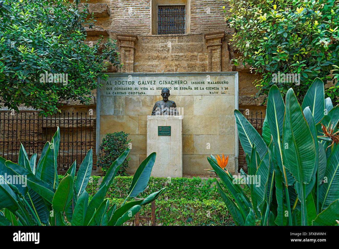 Monumento, Monumento al Dottor José Gálvez Ginachero, 29.09.1866 - 29.04.1952 Foto Stock