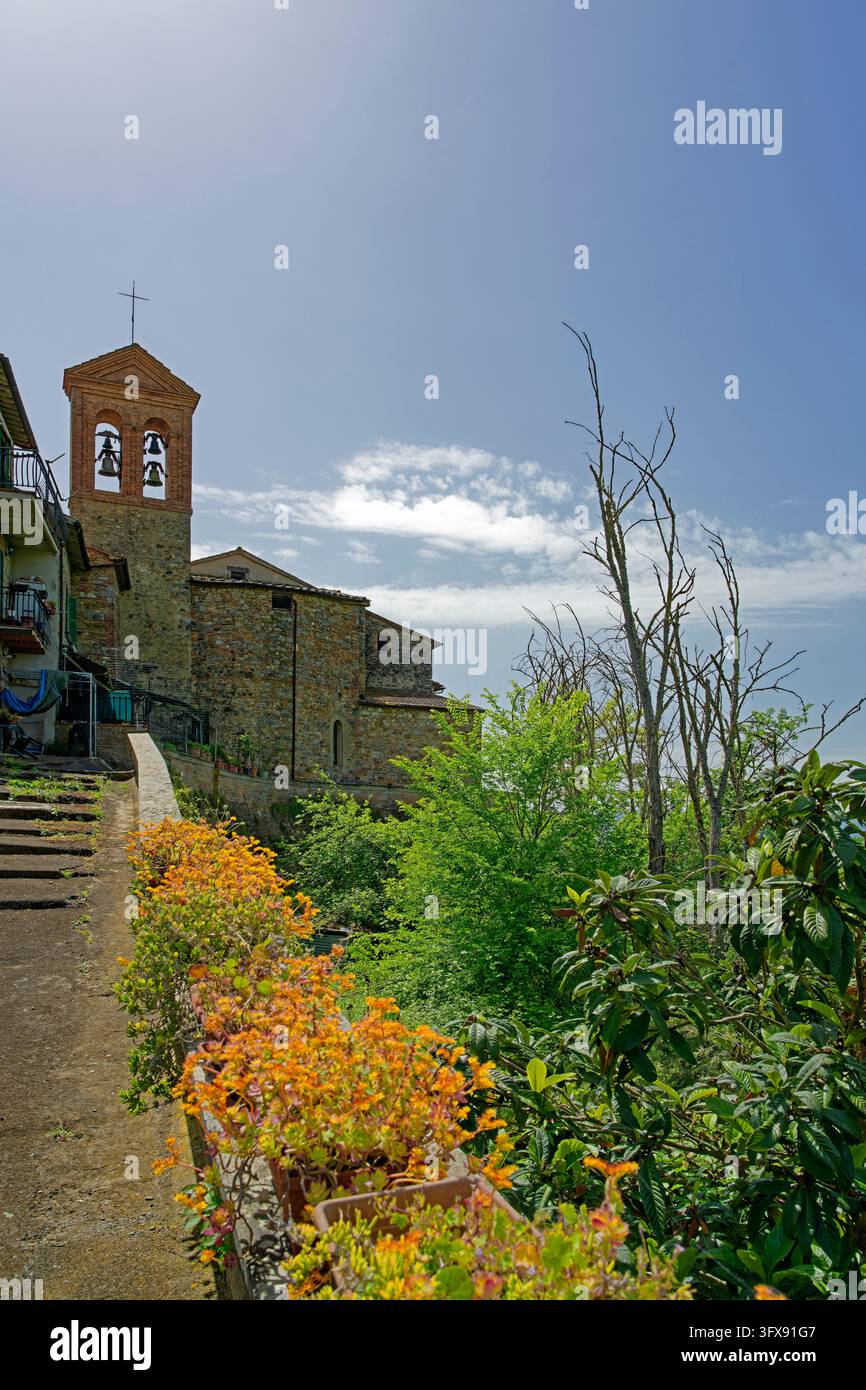 Chiesa, Chiesa dei Santi Salvatore e Severo Foto Stock