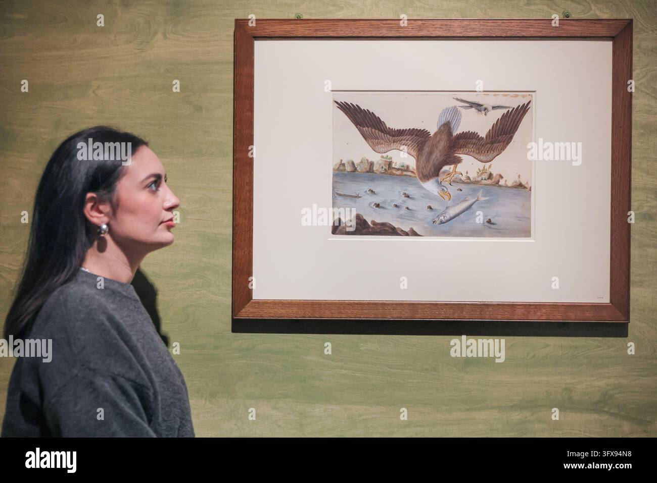 Londra, Regno Unito. 22 ott., 2026. SI PREGA DI NOTARE: embargo fino alle 00.01 BST del Regno Unito del 23 ott. Personale del museo con "Bald Eagle", di Mark Catesby, circa 1722-26, acquistato per Giorgio III. L'aquila dalla testa bianca è diventata il simbolo nazionale degli Stati Uniti nel 1782. La nuova esposizione "Becoming America: How Science Shaped a Nation“ al Science Museum riunisce la ricca e complessa storia scientifica che ha plasmato la fondazione di una nuova nazione. Aperta il 23 ottobre, continuerà fino all'aprile 2027. Credit: Imageplotter/Alamy Live News Foto Stock