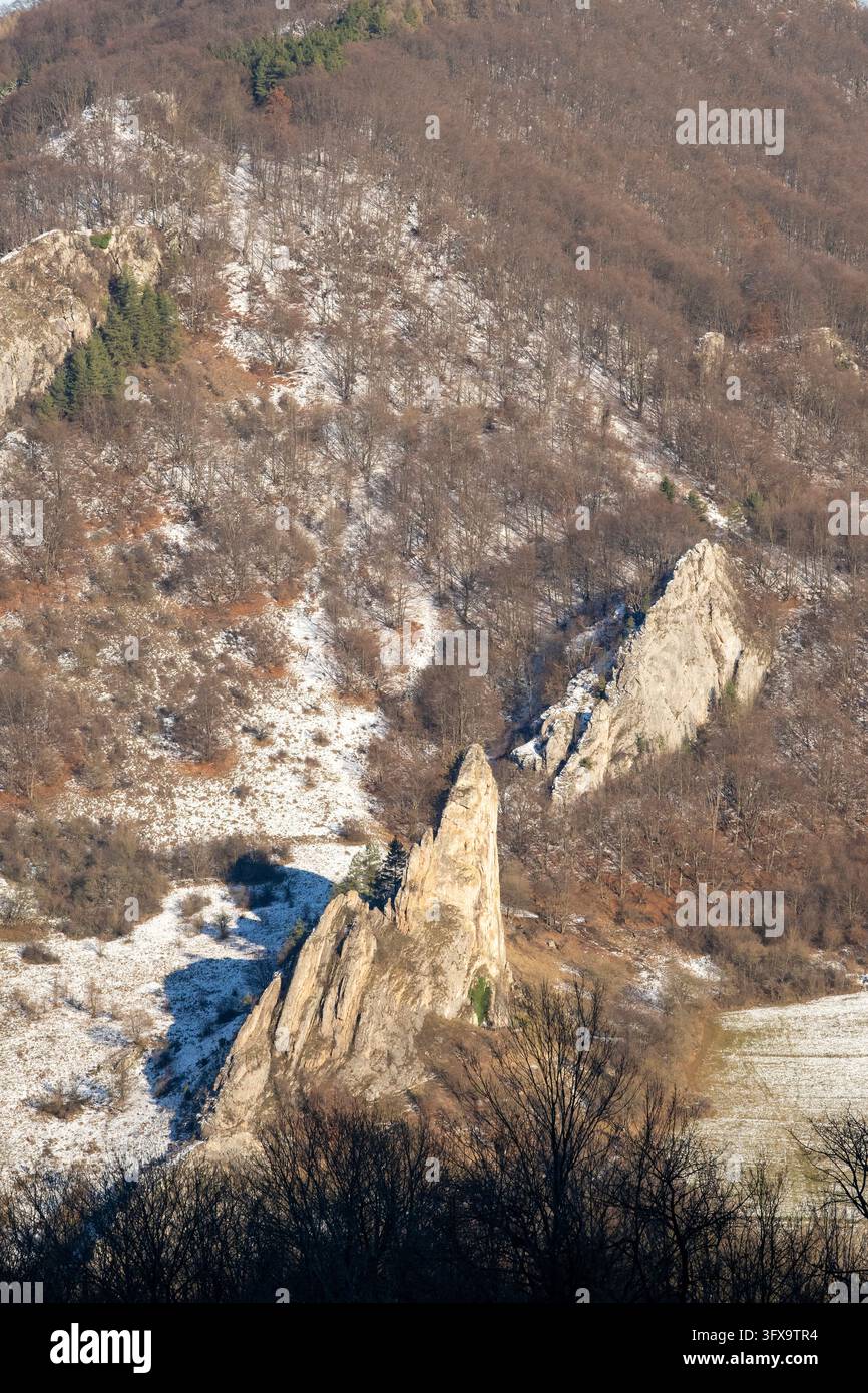 Scogliera di Červenokamenské (cervenokamenske bradlo), un enorme masso con cespugli, alberi e prati in inverno, Vápeč, Horná Poruba, Slovacchia Foto Stock