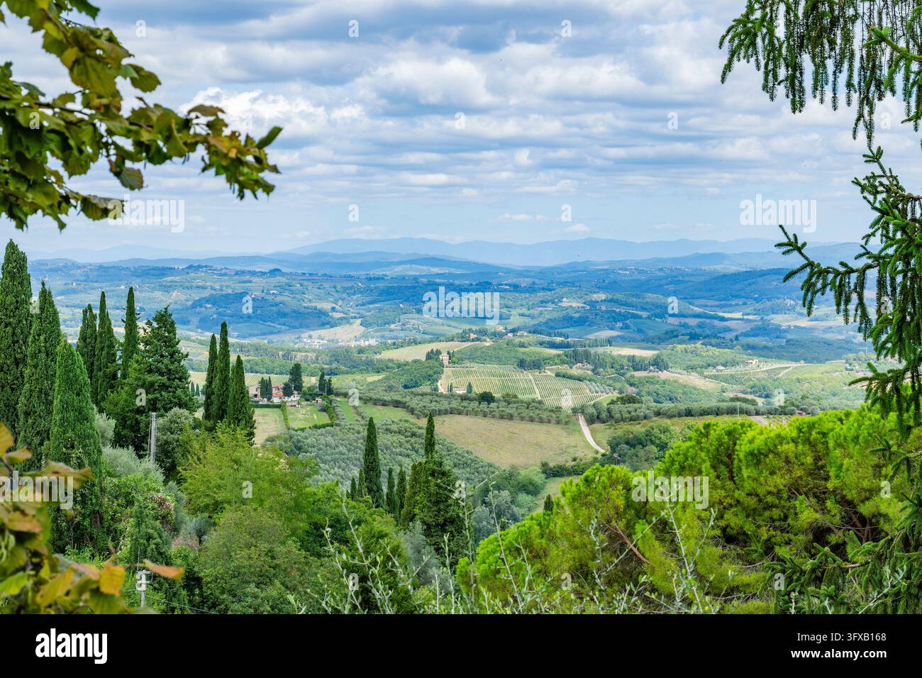 Vista da San Gimignano sulla campagna con ulivi, vigneti, campi e cespugli, Toscana, Patrimonio mondiale dell'UNESCO, Italia, Europa, Europa Foto Stock