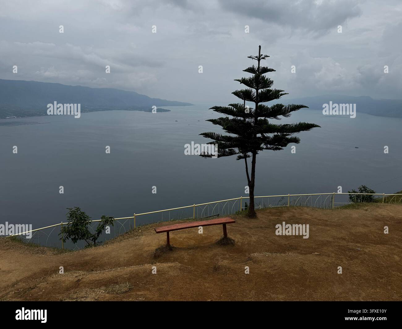 Unico pino su una collina che si affaccia su un lago nebbioso e sulle montagne - Immagine stock catturata con smartphone