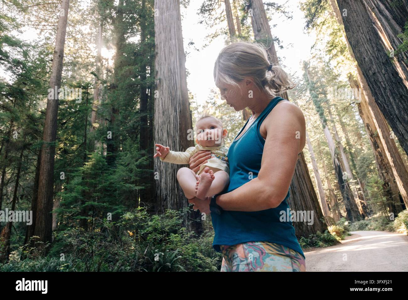 Madre che porta il suo bambino attraverso una foresta di sequoie Foto Stock