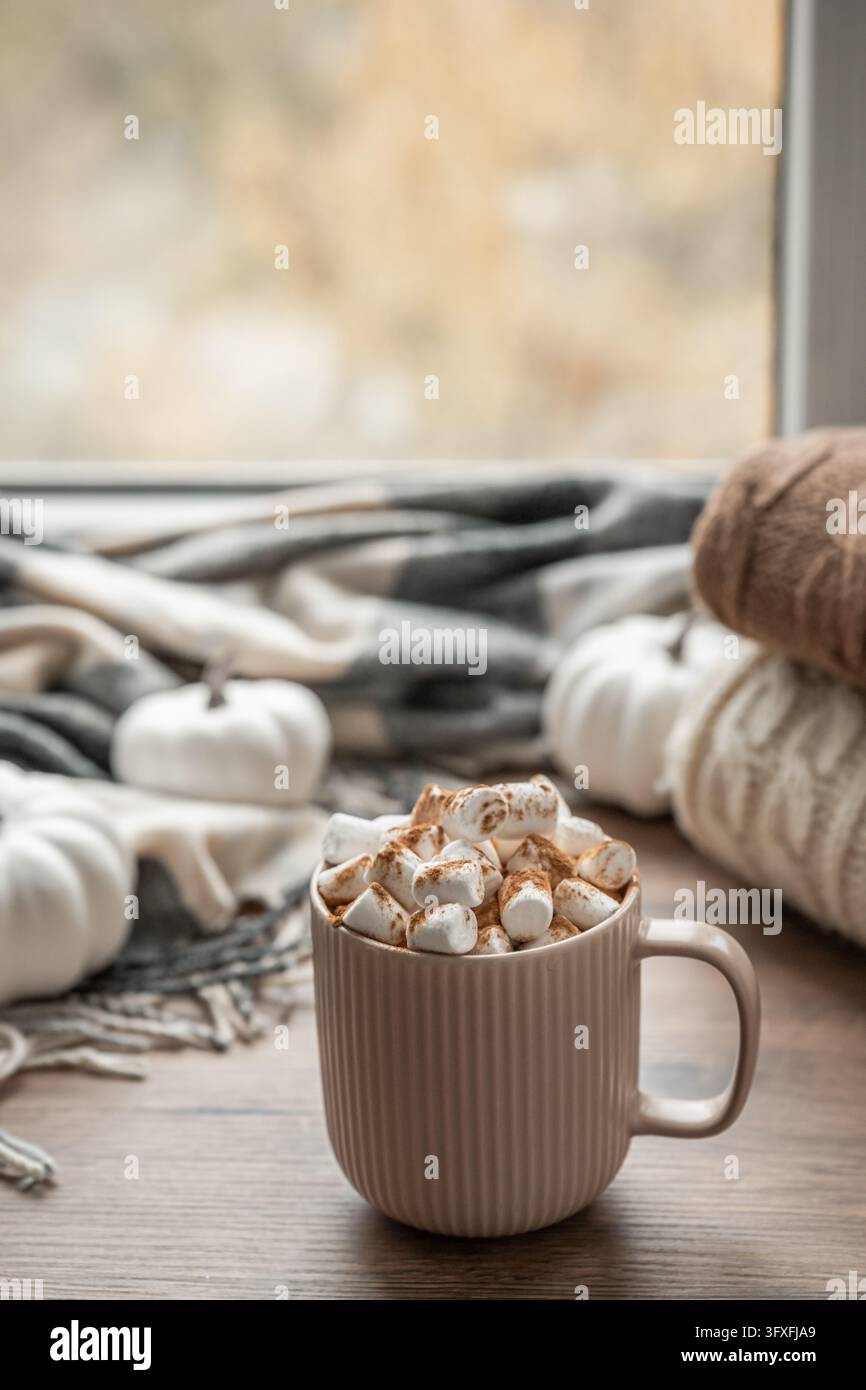 Tazza beige di cioccolata calda guarnita con marshmallow e cannella vicino a una finestra, con zucche e coperte calde. Atmosfera autunnale e accogliente per la pubblicità di bevande stagionali Foto Stock