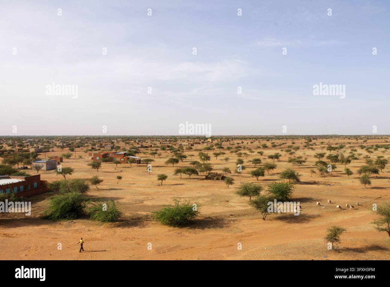 Ampio paesaggio del Sahel con alberi di acacia, edifici e una persona che cammina, Regione del Sahel, Markoye, Burkina Faso Foto Stock