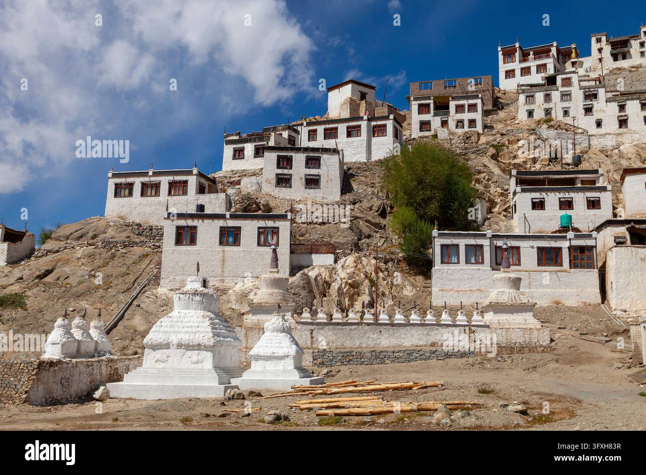 Edifici del monastero di Thiksey su una collina rocciosa con stupa bianche davanti, Ladakh, Leh, India Foto Stock