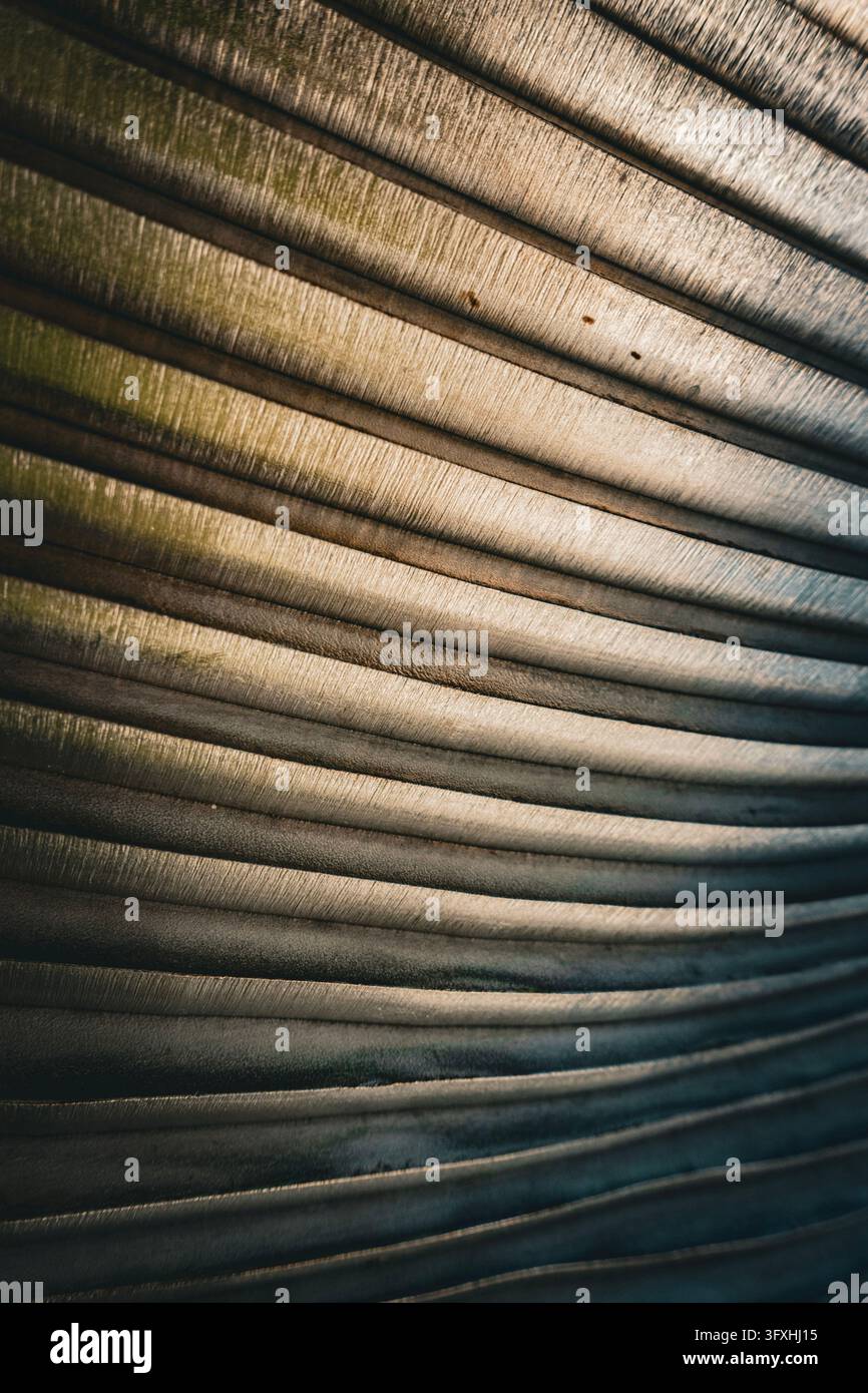 Primo piano astratto di lamiera ondulata consumata con creste parallele ampie, scanalature scure e luce naturale irregolare che rivela la sua trama ruvida Foto Stock