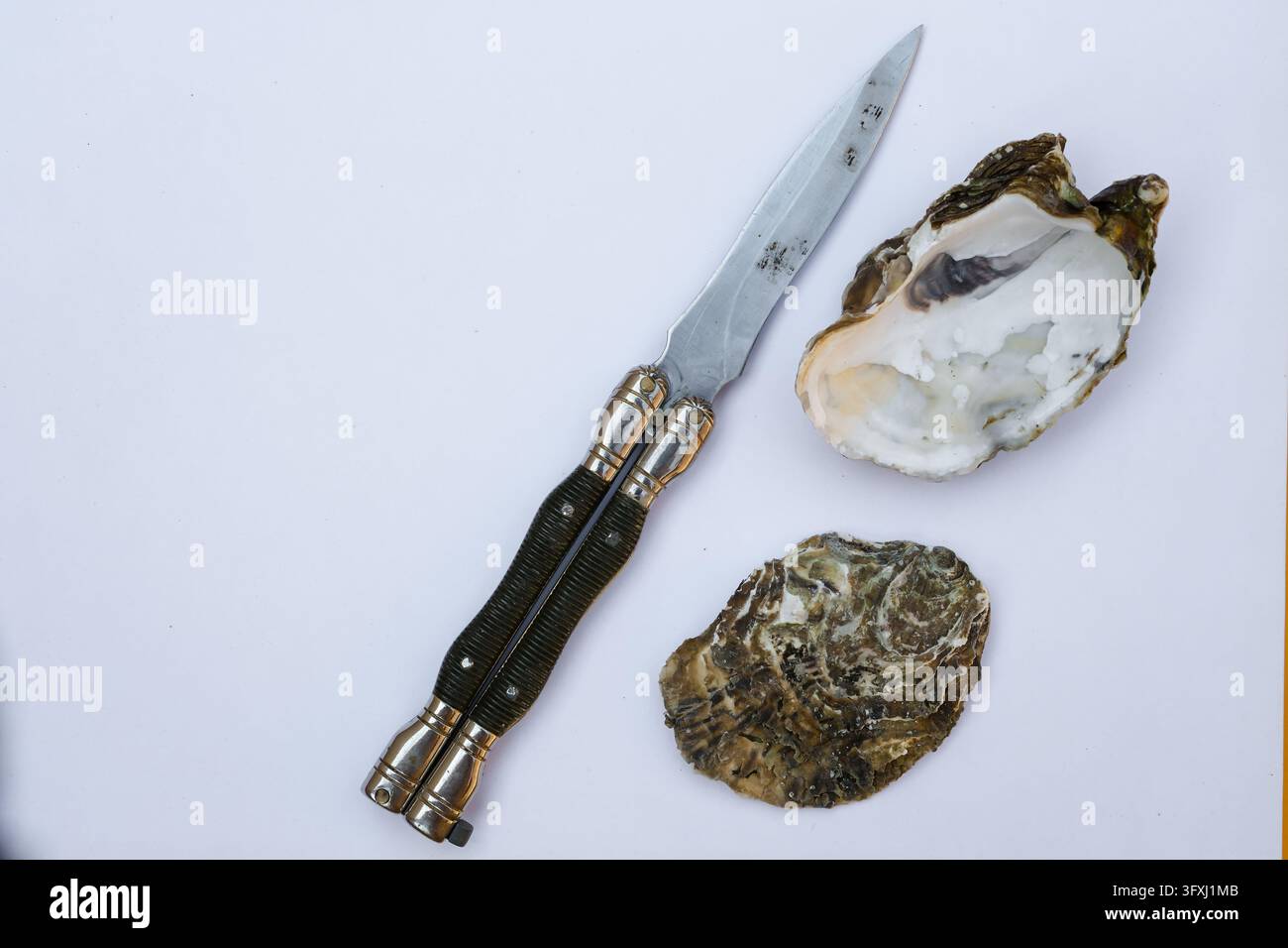 Coltello Balisong e gusci di ostrica crudi su una superficie bianca. Ambiguity visiva del coltello per ostriche. Minimal. Spazio per il testo. Foto Stock