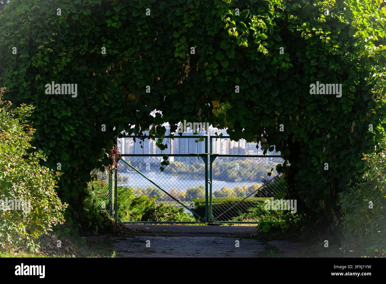 Un arco frondoso incornicia un fiume lontano e lo skyline oltre un cancello di metallo. Il vialetto del giardino offre una tranquilla vista dal portale che bilancia il tema urbano e naturale Foto Stock