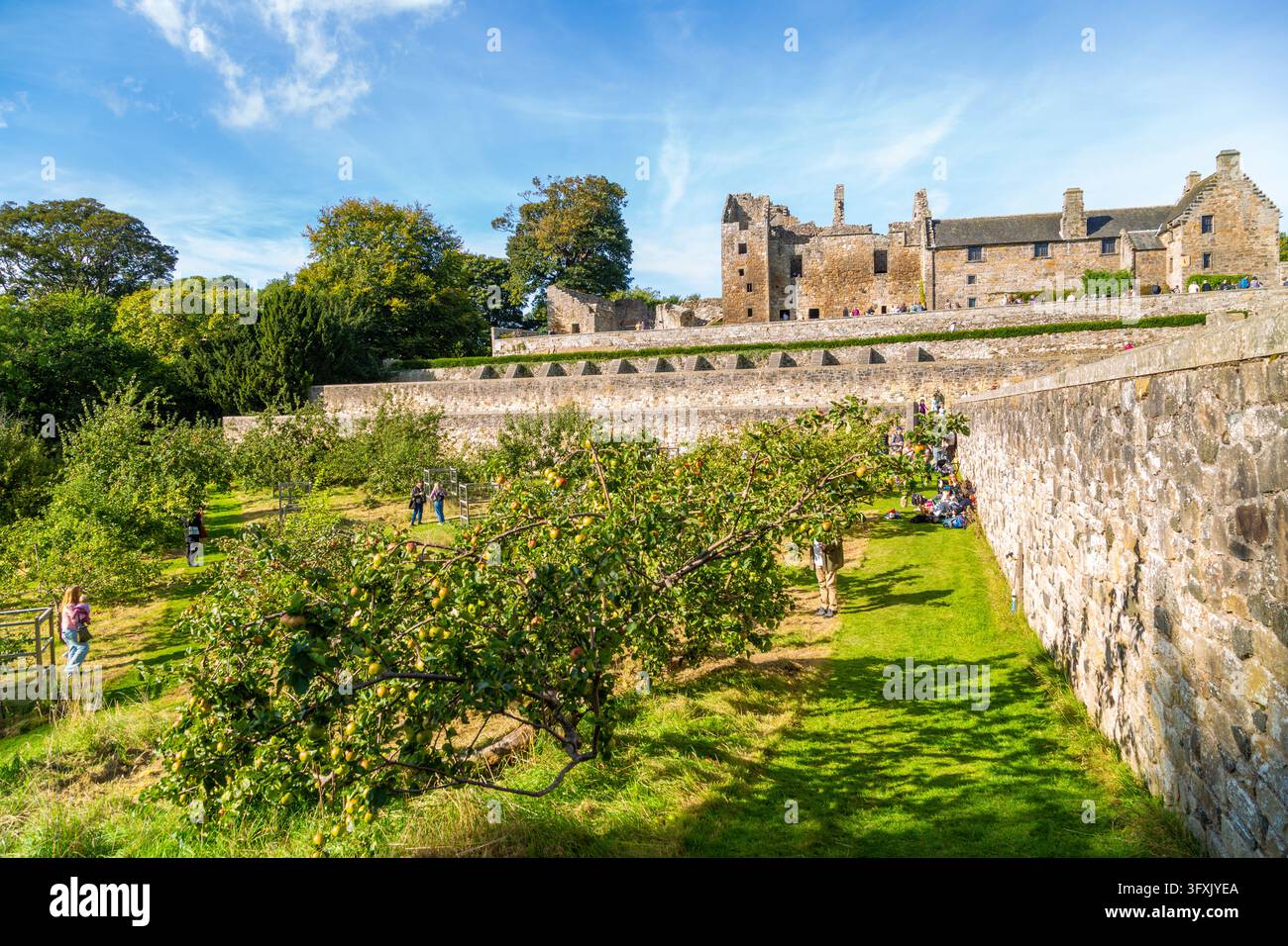 I giardini terrazzati storici e il frutteto di Aberdour Castle a Easter Aberdour, Fife, Scozia Foto Stock