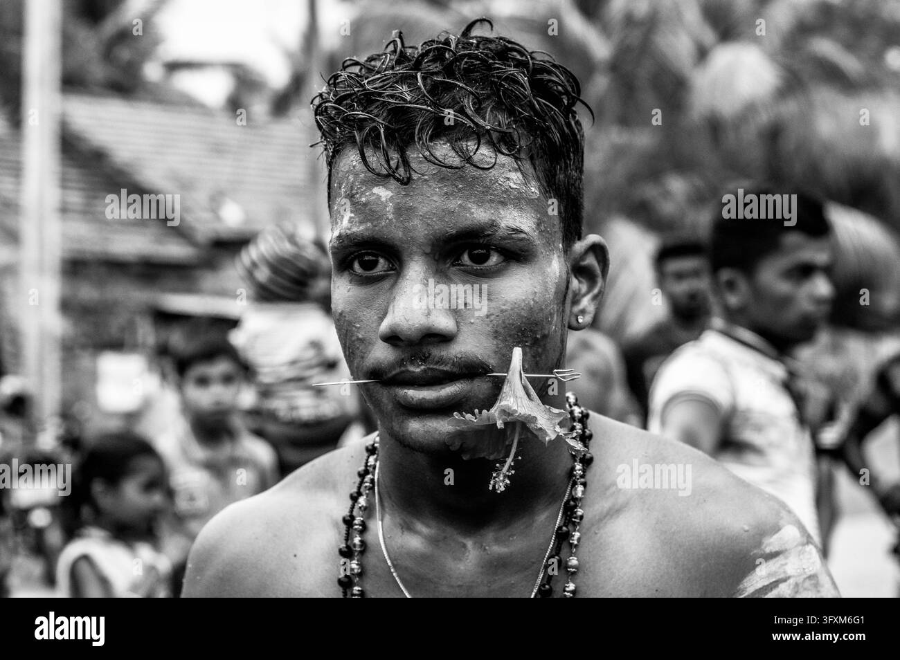 I devoti indù partecipano a un festival di Kavadi Aattam (danza del fardello), in cui i partecipanti entrano in uno stato di trance e si impegnano in rituali di perforazione del corpo o nel trascinare pesanti carri del tempio. Questo sacrificio cerimoniale e rituale di portazione del fardello è dedicato a Lord Murugan (noto anche come Skanda o Kartikeya), tipicamente osservato durante festival come Aadi Vel o Thai Pusam. I partecipanti spesso entrano in un profondo stato di trance meditativo o estatico, che li protegge dal dolore mentre cantano "Arohara!" o "Haro Hara!" lungo il percorso della processione. Sri Lanka. Foto Stock