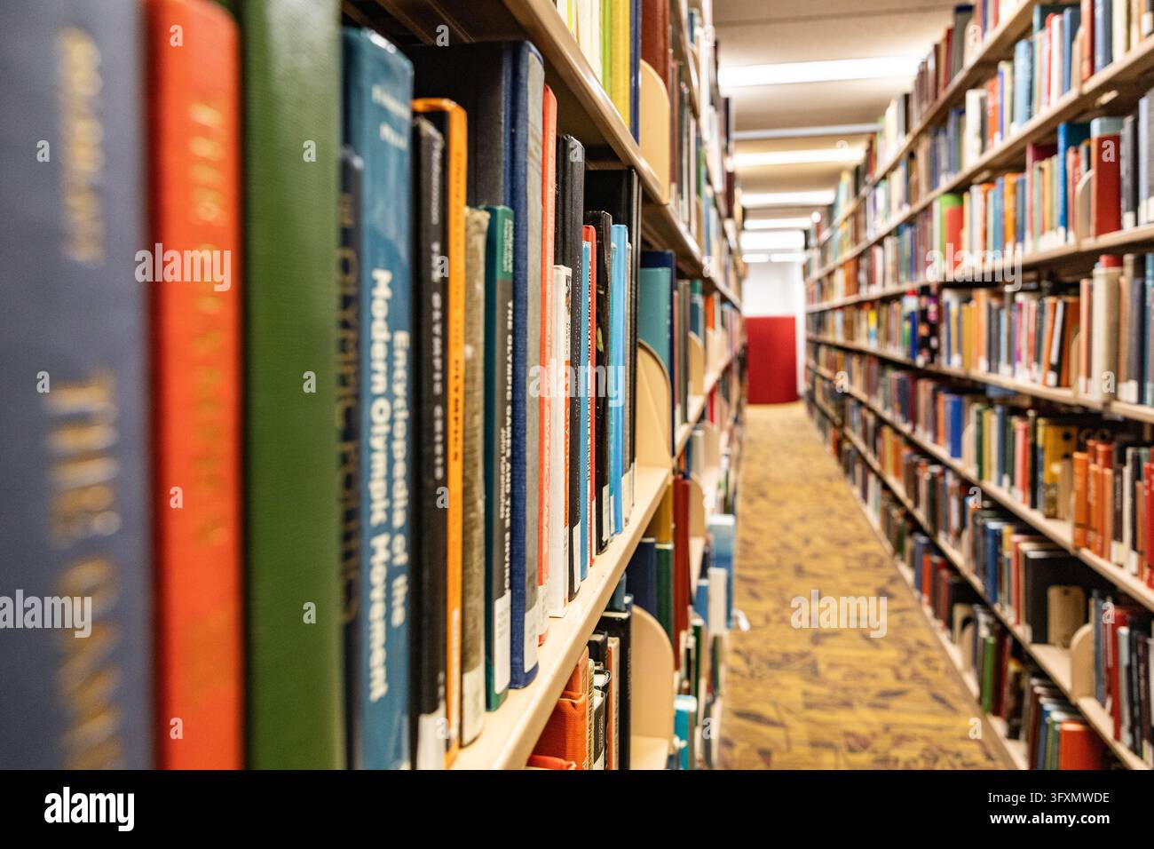 Messa a fuoco selettiva su libri lungo uno scaffale di biblioteca, con dorsi sfocati in primo piano e un corridoio vuoto che si estende tra le file di scaffali. Foto Stock