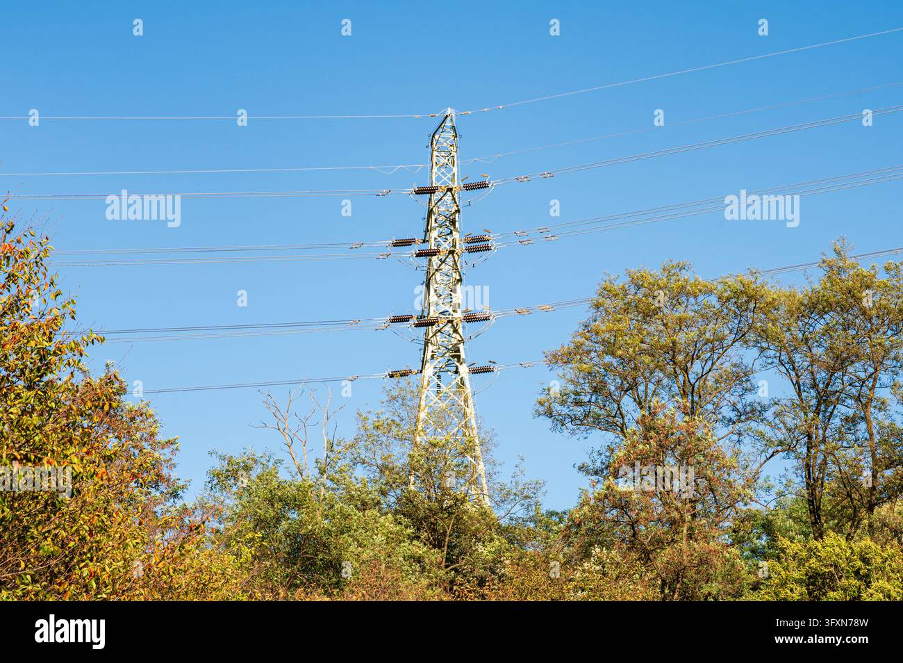 Palo di alta tensione e linee elettriche sopra alberi autunnali sotto un cielo blu in Corea. Foto Stock